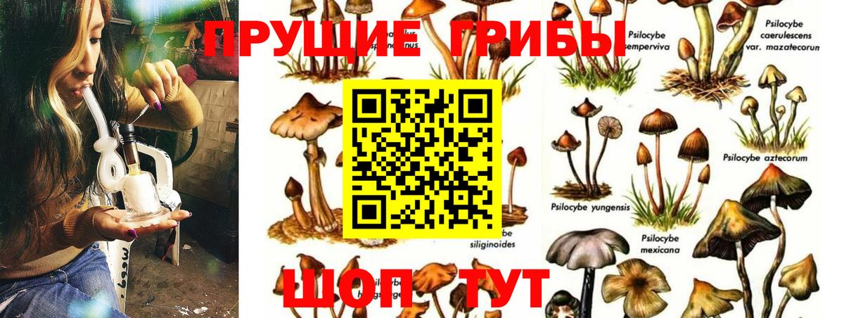 Галлюциногенные грибы GOLDEN TEACHER Нижний Тагил